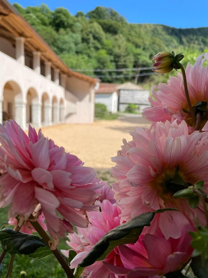 Agriturismo Il Bosco Camere Vittorio Veneto Exterior foto